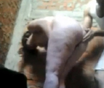 سكس مصري 2020 افلام نيك مصرى نار جديد وحصرى