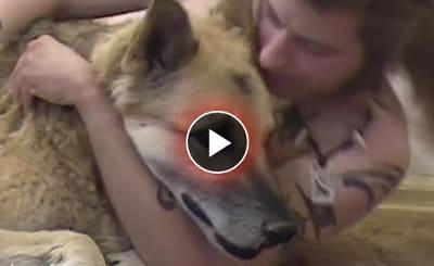 نيك حيوانات شديد رجل ينيك كلبه نيك جامد فى كسها